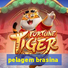 pelagem brasina